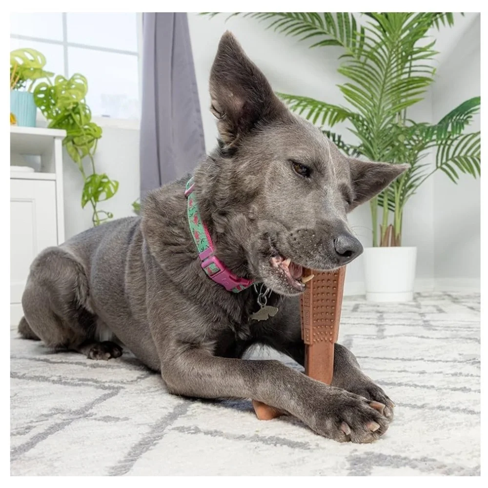 SPOT Bam-Bones PLUS Dog Chew Toy - Bamboo & Nylon, 4”, Chicken Flavor- NWT